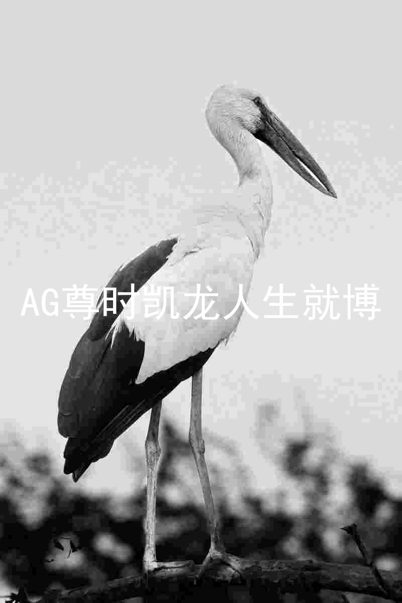 AG尊时凯龙人生就博